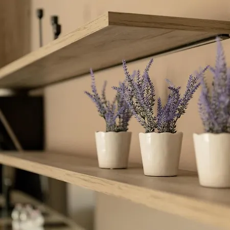 Nest David Prodan Apartment